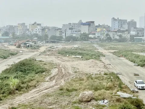 Đồng Nai: Hơn 2.300 hecta đất đai lãng phí vì dự án chậm tiến độ