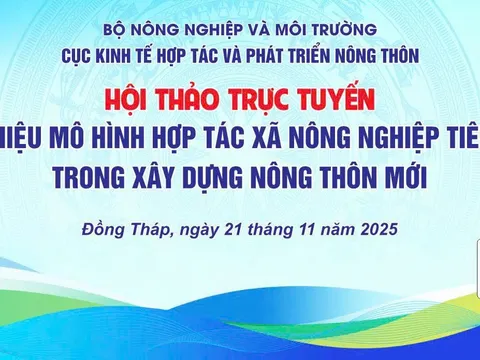 Hợp tác xã Nông nghiệp Tân Bình: Mô hình HTX điển hình trong xây dựng nông thôn mới